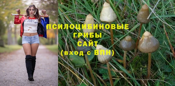 прущая мука Белокуриха
