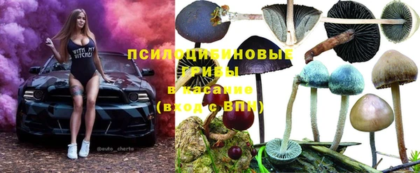 таблы Богданович