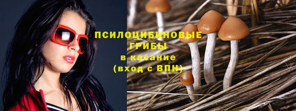 МДПВ Белоозёрский